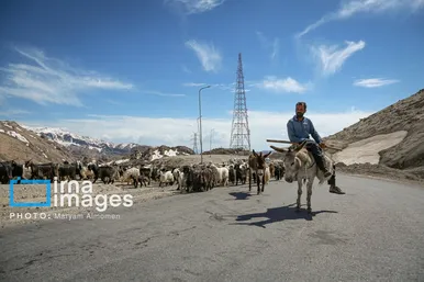 گزارش تصویری | «زندگی عشایری»