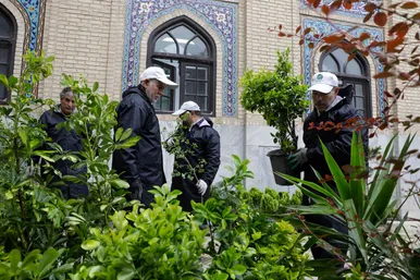 عکس‌هایی از ورود کاروان گل‌های اهدایی به حرم مطهر رضوی
