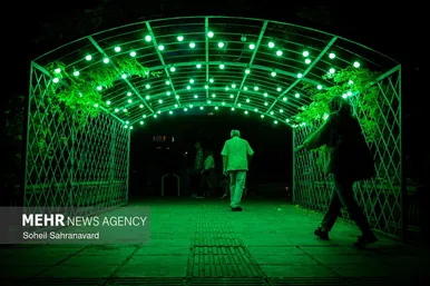گزارش تصویری | جشن نور در تهران