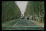 دکتر یعقوب دانش‌دوست معمار معاصر مشهدی درگذشت