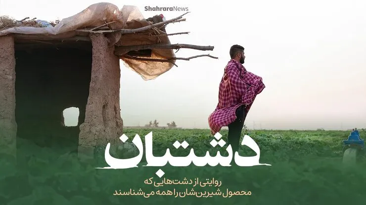ویدئو| دشتبان؛ روایتی از دشت‌هایی که محصول شیرین‌شان را همه می‌شناسند