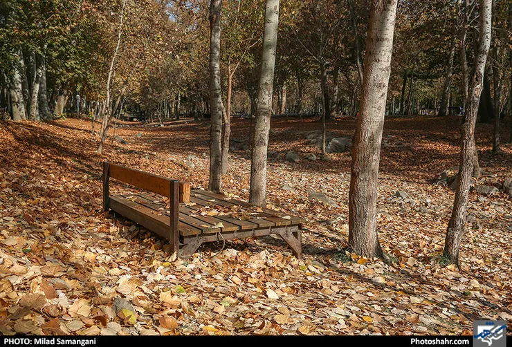 بهار ۹۹؛ بهره‌برداری از باغ ویژه بانوان دربوستان وکیل‌آباد