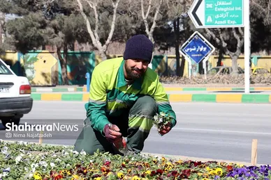 گل‌کاری در نقاط مختلف شهر مشهد