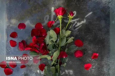 عکس‌هایی از حضور جمعی از سینماگران در قطعه هنرمندان