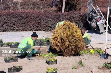 گل‌کاری در نقاط مختلف شهر مشهد