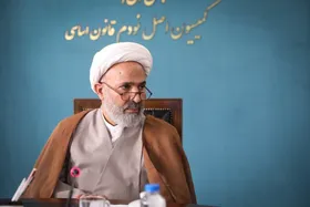 پژمان&zwnj;فر: ممنوع&zwnj;الخروجی فعالان اقتصادی از کشور در صورت ارائه وثیقه تضمنی لازم رفع می&zwnj;شود