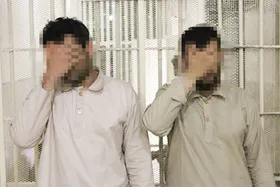 عملیات نجات مرغ&zwnj;ها از چنگال مرغ&zwnj;دزدها
