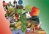 زنان و مهار اسراف؛ پیام رهبری یک مسئولیت آرام و بزرگ