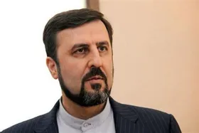 غریب آبادی به اظهارات و گزارش مدیرکل آژانس واکنش نشان داد