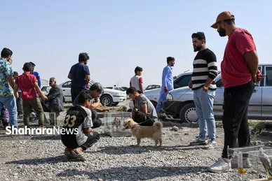عکس‌هایی از جمعه‌بازار پرنده‌فروشان در شمال شرق مشهد