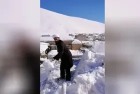 ویدئو | برف&zwnj;روبی طلاب در شهرکرد