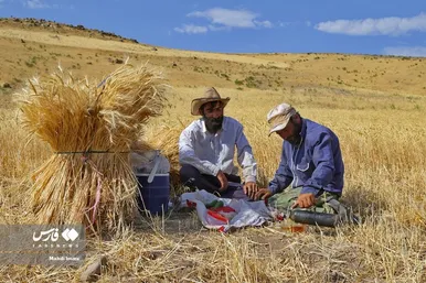پدر، جانِ زندگی
