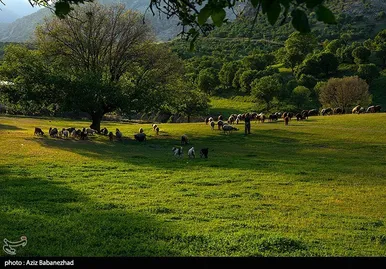 ایران زیباست | طبیعت بهاری منطقه دره اناران سپیدشت خرم آباد
