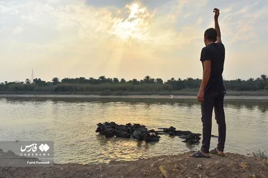 پرورش گاومیش «خوزستان»