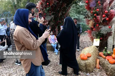 گزارش تصویری | روز اول چهارمین جشنواره طعم و رنگ پاییز در باغ مشهد