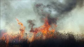 مهار آتش&zwnj;سوزی کوه&zwnj;سفید دهدز