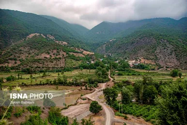 ایران زیباست | برداشت گیلاس در روستای بندبن
