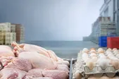 قیمت امروز گوشت و مرغ در مشهد (۲۶ شهریور ۱۴۰۵) | مرغ کاهش و تخم مرغ افزایش یافت