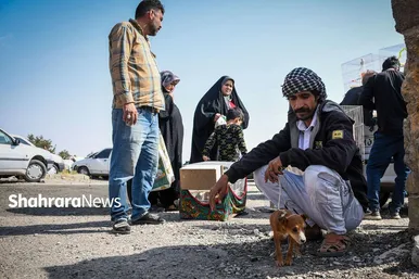 عکس‌هایی از جمعه‌بازار پرنده‌فروشان در شمال شرق مشهد
