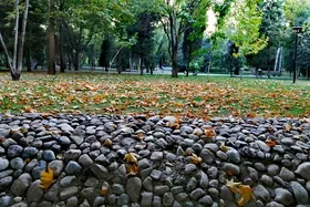 شهروند خبرنگار | برگ&zwnj;ریزان تابستانی در پارک ملت مشهد (مرداد ۱۴۰۱)