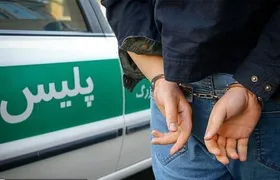 آزار جنسی ۸ زن در مینی&zwnj;سیتی تهران + جزئیات