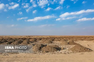 گزارش تصویری | بحران زمین و آب در قلب خراسان