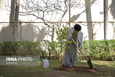 گزارش تصویری کاشت سه اصله نهال میوه توسط مقام معظم رهبری