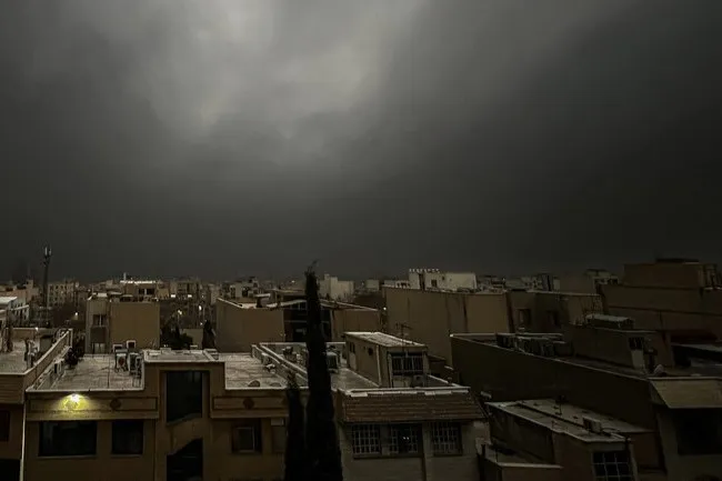 آلودگی نفتی