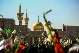 زائران اردوزبان میلاد جوادبن&zwnj;الرضا(ع) را حرم مطهر رضوی جشن گرفتند (۲۲ دی ۱۴۰۳)