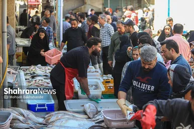 گزارش تصویری |  بازار ماهی فروشان در شهرک عرب‌های مشهد
