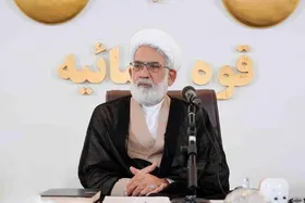 رئیس دیوان عالی کشور تاکید کرد؛ لزوم برخورد قاطع با حرمت&zwnj;شکنان حریم شهیدان در فضای مجازی