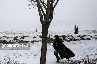 گزارش تصویری | تیوب‌سواری و برف‌بازی مشهدی‌ها (۲۱ بهمن ۱۴۰۳)