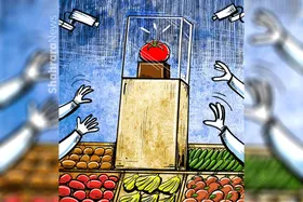 کارتون | گوجه در اوج!