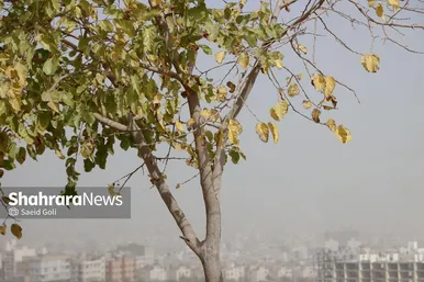 گزارش تصویری | آلودگی هوا در مشهد (۲۲ مهر ۱۴۰۴)