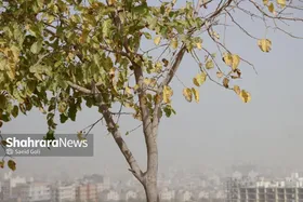 آلودگی هوا در وضعیت نگران&zwnj;کننده | هشدار برای مشهد و ۶ کلان&zwnj;شهر دیگر کشور (۲۸ آبان ۱۴۰۴)