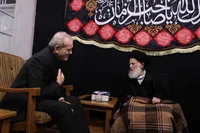 آیت الله شبیری زنجانی در دیدار رئیس جمهور : دشمنان تصور می‌کردند ظرف چند روز کار ایران را تمام می‌کنند