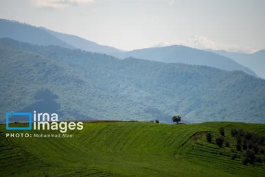 ایران زیباست | بهارِ گلستان