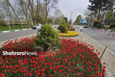 گل‌ آرایی بهاری در بهشت رضا(ع)