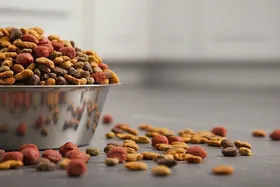 کشف بیش از ۱۴ تن غذای&zwnj;حیوانات قاچاق در تهران