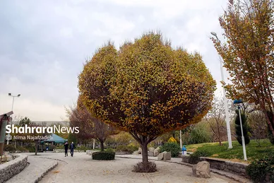 طبیعت پاییزی بوستان های مشهد