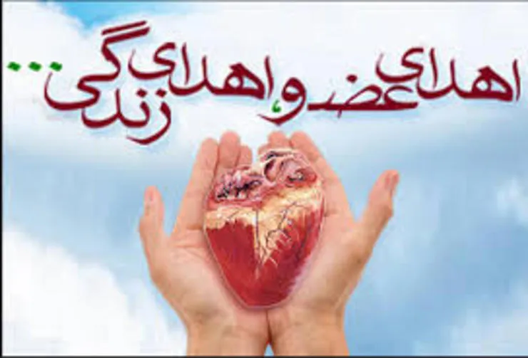 تنها خواسته مادر داغدار که اعضای بدن پسرش اهدا شده است