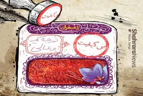 کارتون | ۸۰ فروشنده غیراستاندارد زعفران در مشهد شناسایی شده&zwnj;اند
