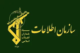 بیانیه سازمان اطلاعات سپاه خراسان رضوی در خصوص حادثه امروز حرم مطهر رضوی