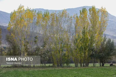 ایران زیباست | طبیعت پاییزی شهرستان اَلِشتَر
