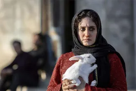 تعویق اکران &laquo;تی تی&raquo; با بازی الناز شاکردوست و هوتن شکیبا
