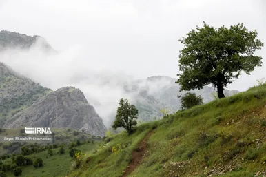 ایران زیباست | طبیعت بهاری هورامان تخت