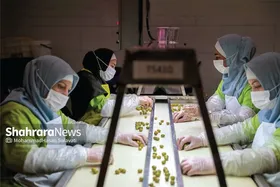 کاهش بیکاری در مشهد