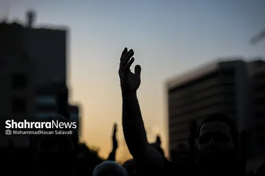 تشرف زائران و مجاوران رضوی به حرم امام رئوف در روز زیارتی آن حضرت
