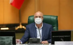 رئیس مجلس: طرح تأمین کالا&zwnj;های اساسی خانوار&zwnj;ها به&zwnj;زودی اجرا می&zwnj;شود