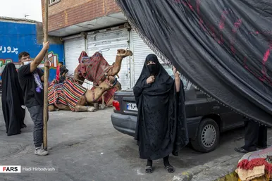 کاروان نمادین اسرای کربلا «بنی اسد»